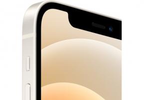 Apple iPhone 12 64Gb White MGJ63RU/A
